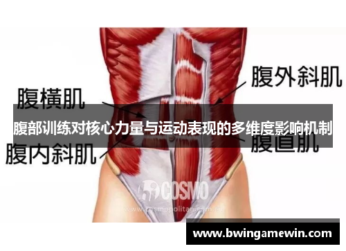 腹部训练对核心力量与运动表现的多维度影响机制