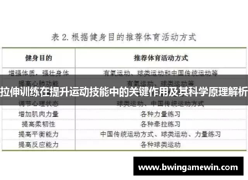 拉伸训练在提升运动技能中的关键作用及其科学原理解析